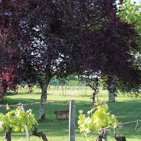 La Vigneraie De Laura Bed & Breakfast Sainte-Colombe  Exterior photo